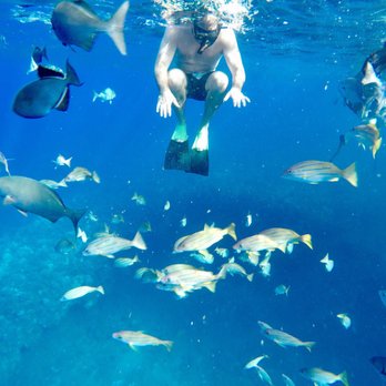Capt Andy's - Lol - Boat Tours Near Me - Ele'ele, Hawaii