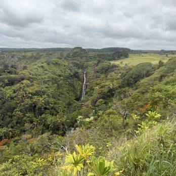 Botanical World Adventures - Zip lining by a waterfall and streams - Botanical Gardens Near Me - Hakalau, Hawaii