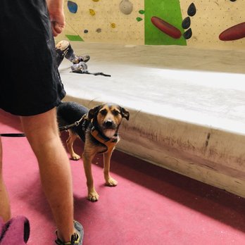 Ostbloc - Doggy - Climbing Near Me - Berlin, BE