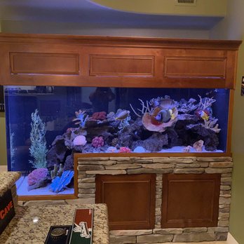Southwest Seas - Aquarium Services Near Me - Phoenix, Arizona