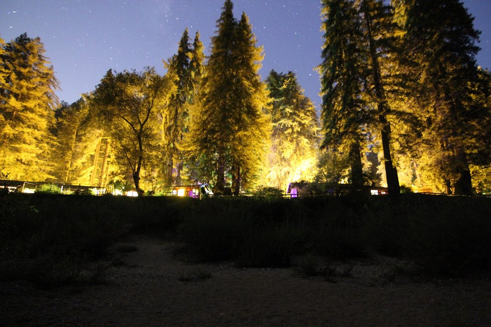 FERN RIVER RESORT Updated September 2024 303 Photos & 141 Reviews