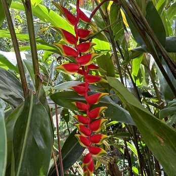 Twin Falls Trail - Hiking Near Me - Haiku, Hawaii Twin Falls Trail - Hiking Near Me - Haiku, Hawaii