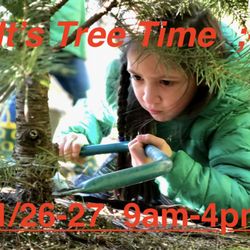 Beaverton Holiday UCut Christmas Tree Farm - Open just 9am-4pm Thanksgiving weekend 2022. Happy Holidays!