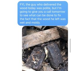 Absolute Tree - Conversation after delivery
