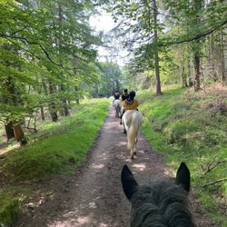 Hilltoptreks - Forest trails horseback riding