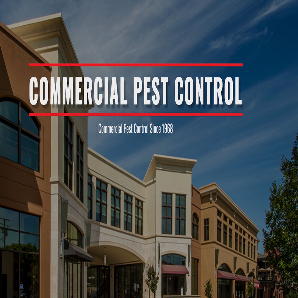 BUGMAN PEST CONTROL - Updated January 2025 - 10137 Folsom Blvd, Rancho