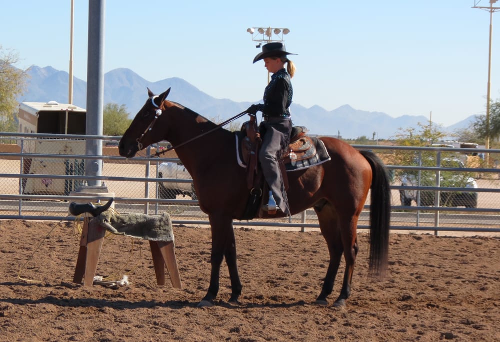 Frisco Farms - equestrian in Cave Creek, AZ