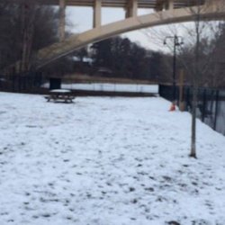 Kent Dog Park - Snowy day at Kent Park