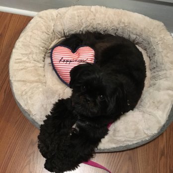 Hound Lounge - Pet Groomers Near Me - Walnut Creek, California