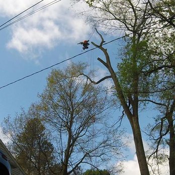 Arborist Prime - Tree Services Near Me - Waterford, Michigan Arborist Prime - Tree Services Near Me - Waterford, Michigan