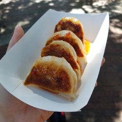 The Lucky Dumpling - Pork and Ginger Dumplings with Sweet Thai Chili Sauce  drizzled on top
