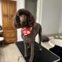 Photo of Empire Pet Salon