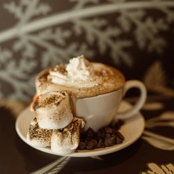 Fog & Fern Coffee House