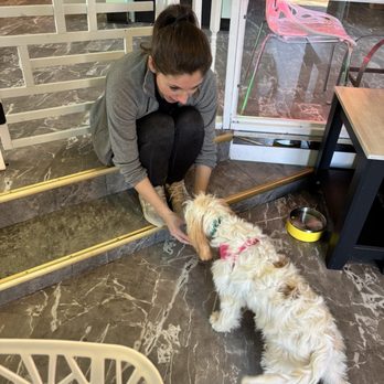 Lucky Dog Central - Diana and team are so welcoming! - Pet Stores Near Me - Wildwood, Missouri Lucky Dog Central - Diana and team are so welcoming! - Pet Stores Near Me - Wildwood, Missouri