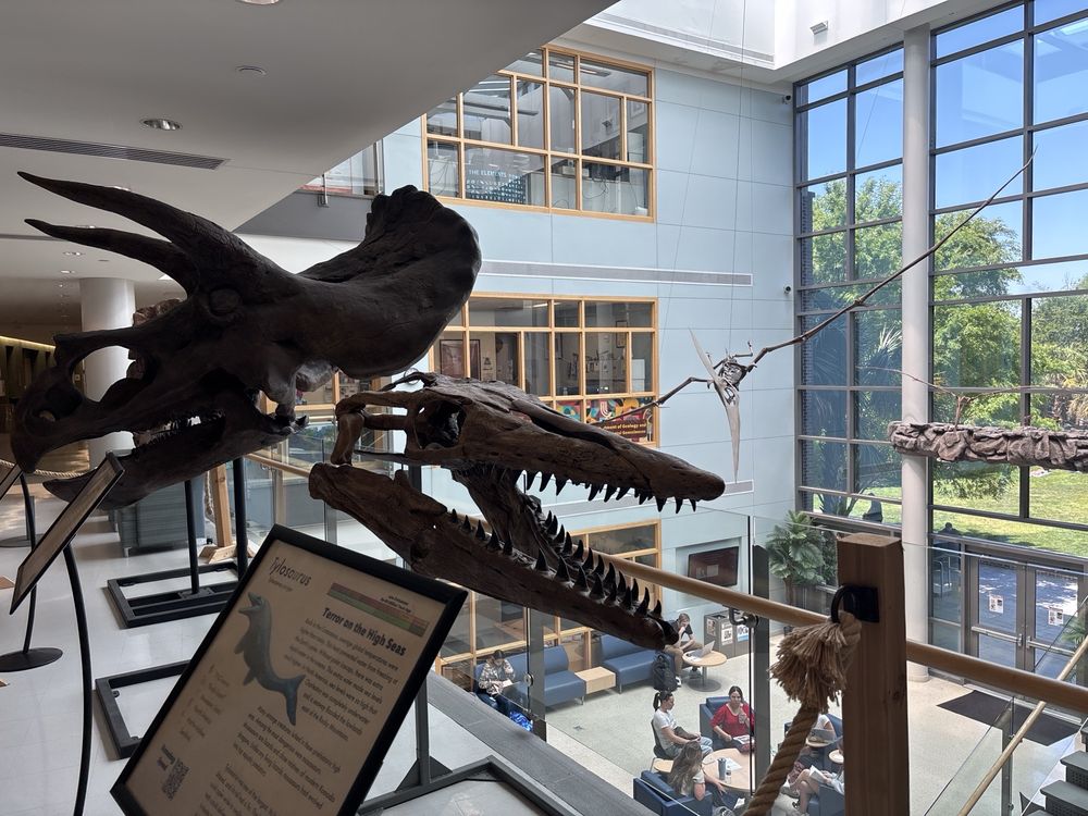Social spots from Mace Brown Museum of Natural History