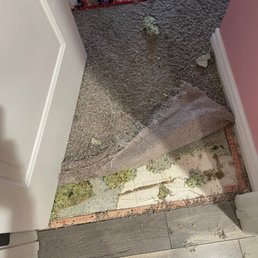 Floor with carpet torn up. Floor with carpet torn up.