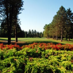 Peace Portal Golf Course - A beautiful look down the tree lined fairway from the 1st tee