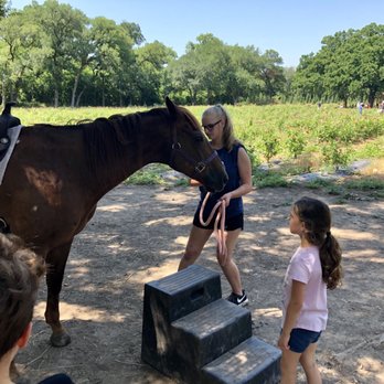 Sweet Eats Adventure Farm - Attraction Farms Near Me - Georgetown, Texas
