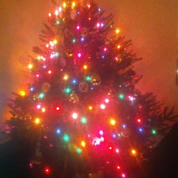 Ben's Christmas Tree Farm - Norway spruce, my whole house smells like Christmas! - Christmas Trees Near Me - Harvard, Illinois Ben's Christmas Tree Farm - Norway spruce, my whole house smells like Christmas! - Christmas Trees Near Me - Harvard, Illinois