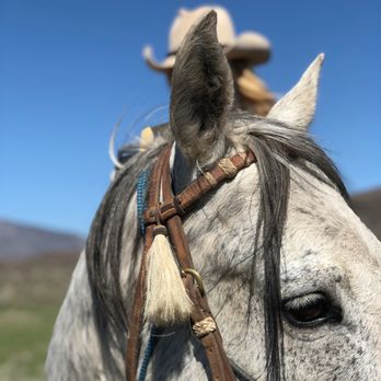 Crown Mountain Outfitters - Horseback Riding Near Me - Basalt, Colorado Crown Mountain Outfitters - Horseback Riding Near Me - Basalt, Colorado