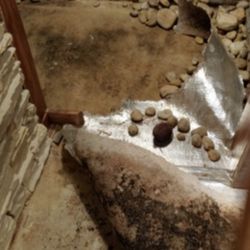 CAMCO Management - Black mold in my house from damaged (broken pipe) outside