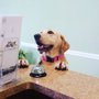 Photo of Midtown Animal Clinic of Ocala