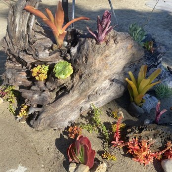 Shorecliffs Beach Club - Social Clubs Near Me - San Clemente, California Shorecliffs Beach Club - Social Clubs Near Me - San Clemente, California