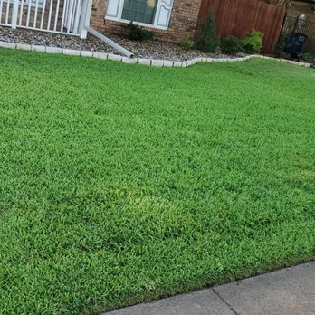 Green Top Lawn Care - Front yard in Euless Texas. The grass is thick and green. Let Green Top Lawn Care take care of your lawn with Fertilization and Weed Control - Lawn Services Near Me - Euless, Texas Green Top Lawn Care - Front yard in Euless Texas. The grass is thick and green. Let Green Top Lawn Care take care of your lawn with Fertilization and Weed Control - Lawn Services Near Me - Euless, Texas