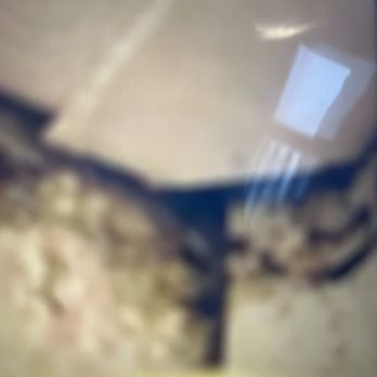 Wendy's - The corner of the bathroom is disgusting And looks moldy - Burgers Near Me - Reddick, Florida