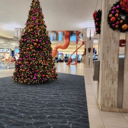 Main Terminal - TPA - Flamingo and Christmas  Tree
