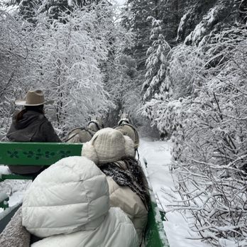 Eagle Creek Ranch - Horseback Riding Near Me - Leavenworth, Washington