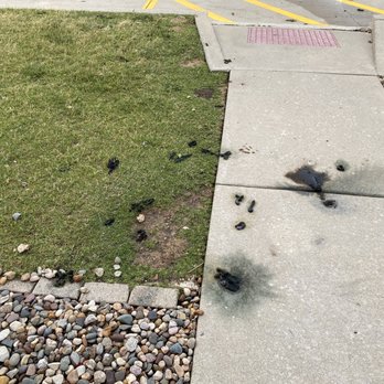 Apartment Mart 21 Photos Apartments 912 N Linden St Bloomington Il Phone Number Yelp