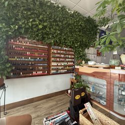 Star Nail Salon