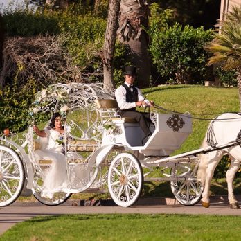 Savannah Rose Carriages - Party & Event Planning Near Me