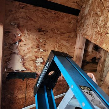 Brandon's Home Remodeling - a ladder and a window - General Contractors Near Me
