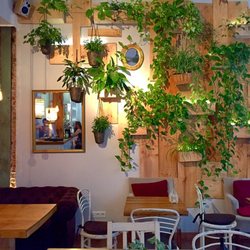 Abonavida - Un jardín vertical inspirado en los patios de Córdoba con un toque de realismo mágico