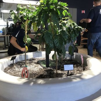 Moonwake Coffee Roasters - Coffee Roasteries Near Me - San Jose, California Moonwake Coffee Roasters - Coffee Roasteries Near Me - San Jose, California