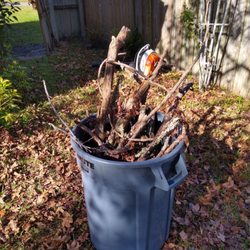 Agape Outdoor Services - Fall/Spring Cleaning