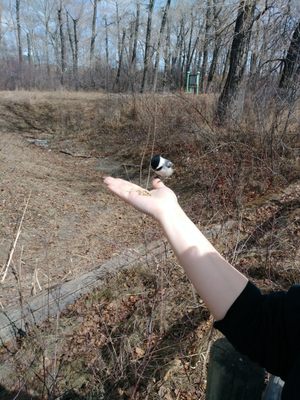 Bow Habitat Station & Sam Livingston Fish Hatchery by null