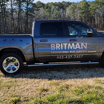 Britman Professional Pest Service - Pest Control Near Me Britman Professional Pest Service - Pest Control Near Me