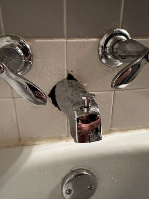 Champion Plumbing Logo