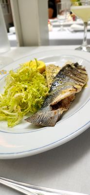 Sicily Osteria by null