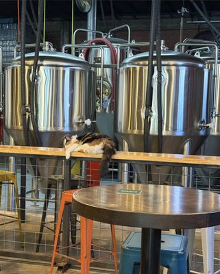 Roadmap Brewing Co. by null