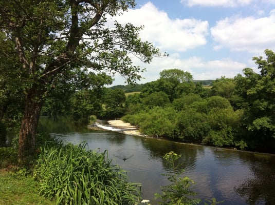 Bolton Abbey by null