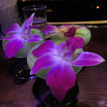 UnderTow Gilbert - Cocktail Bars Near Me - Gilbert, Arizona