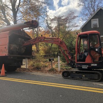 Tree Removal by Tom Mathews - Tree Services Near Me