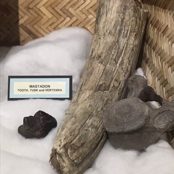Ft Walton Temple Mound - Museums Near Me - Fort Walton Beach, Florida