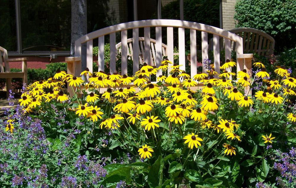 St Augustine Health Ministries - social services organization in Cleveland, OH