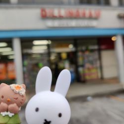 Hello Kitty and Miffy luv this store!