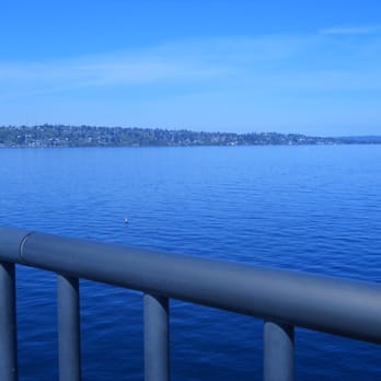 I-90 Trail - View of Lake Washington - Hiking Near Me - King, Washington